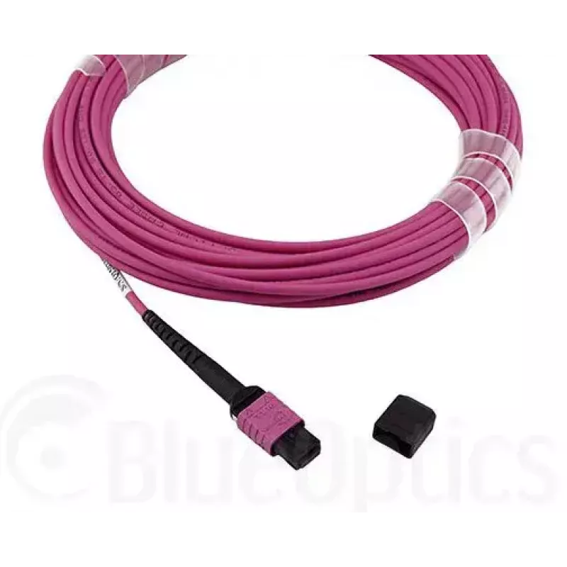 Glasfaserkabel MPO BlueOptics CBL-MPO12-OM4-5M-BO 5 m OM4 50 µm