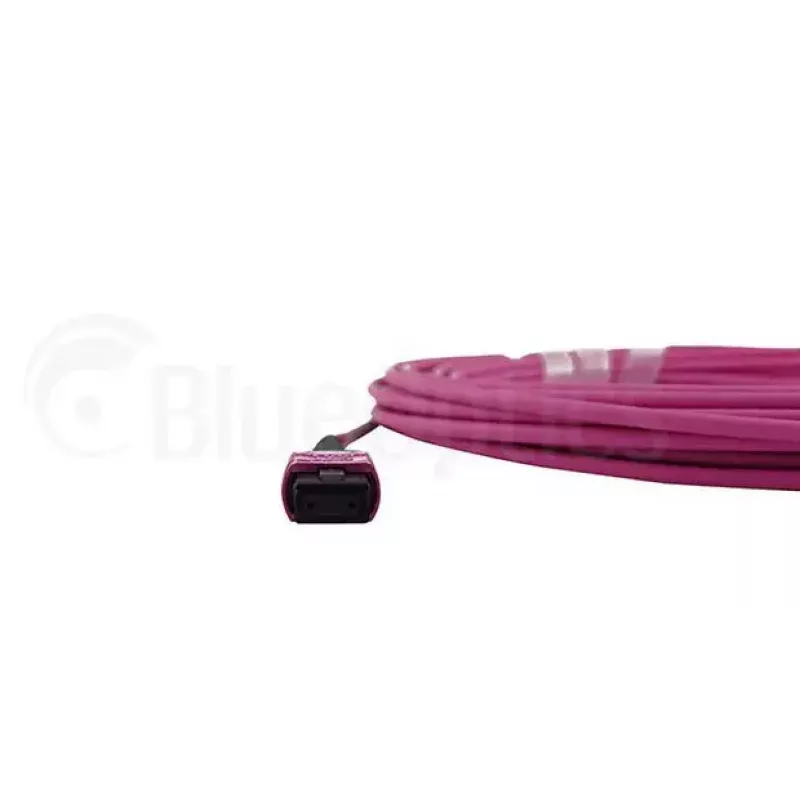 Glasfaserkabel MPO BlueOptics CBL-MPO12-OM4-5M-BO 5 m OM4 50 µm