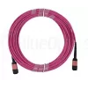 Glasfaserkabel MPO BlueOptics CBL-MPO12-OM4-5M-BO 5 m OM4 50 µm