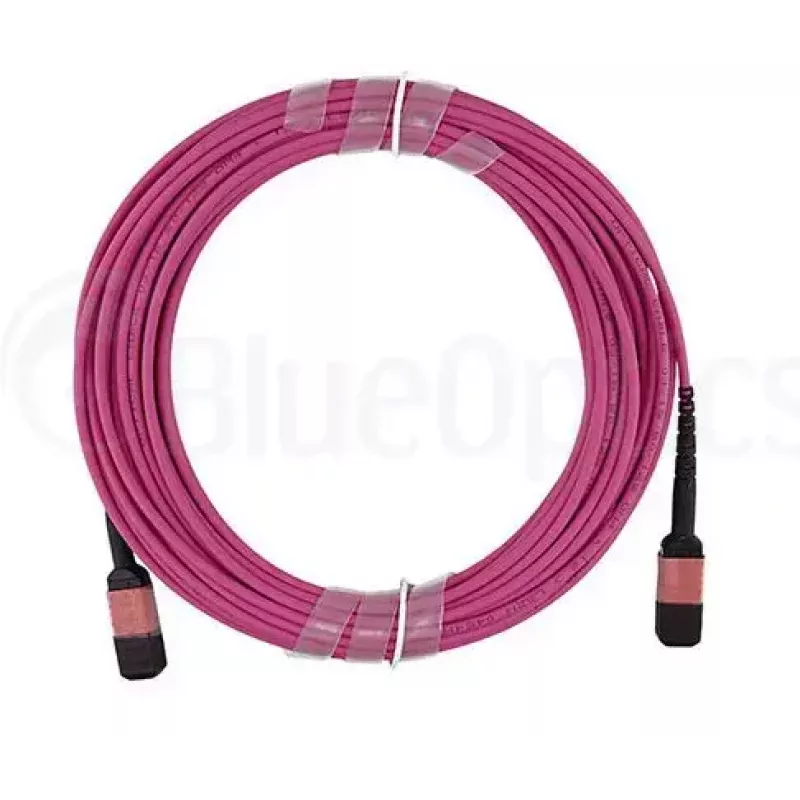 Glasfaserkabel MPO BlueOptics CBL-MPO12-OM4-5M-BO 5 m OM4 50 µm