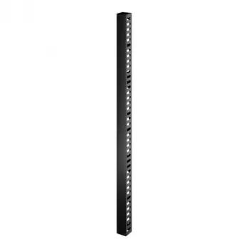 Kabelmanagement-Panel APC ER7VCM42 42U Schwarz 95mm