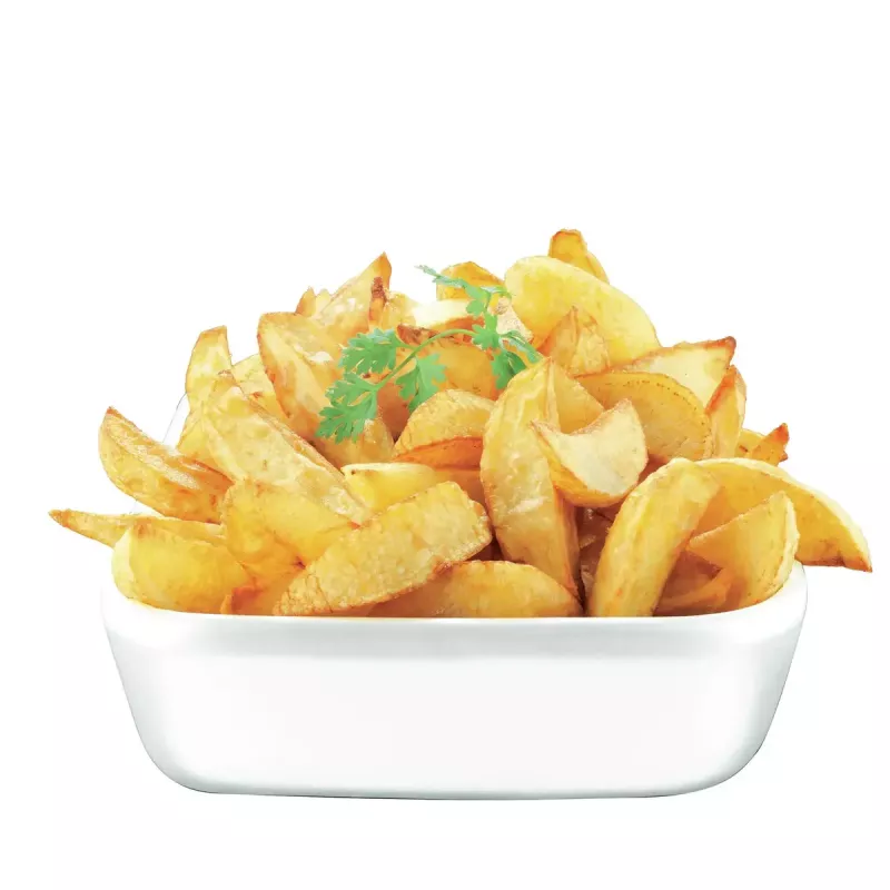 Tefal FR4800 Einzelgerät Stand-alone 2100 W Fritteuse Edelstahl, Weiß