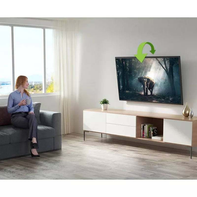 Techly ICA-PLB 148L TV-Wandhalterung 165,1 cm (65 Zoll) Schwarz