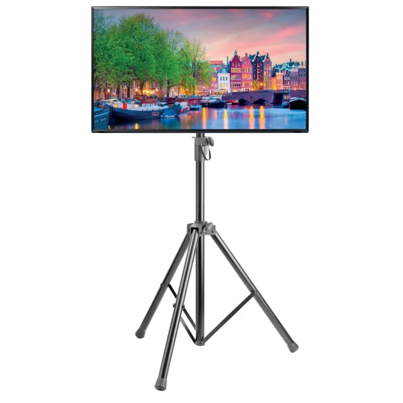 Techly ICA-TR17T Schildmontage-Displayhalterung 177,8 cm (70 Zoll) Schwarz