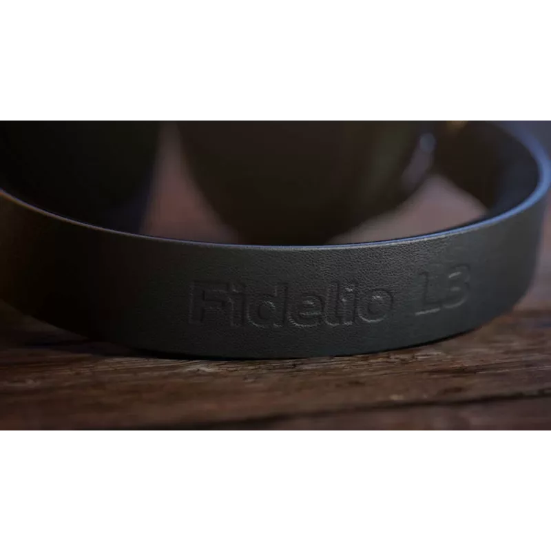 Headset Philips Fidelio