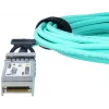 BlueOptics SFP-10G-AOC1M-BO InfiniBand/Glasfaserkabel 1 m SFP+