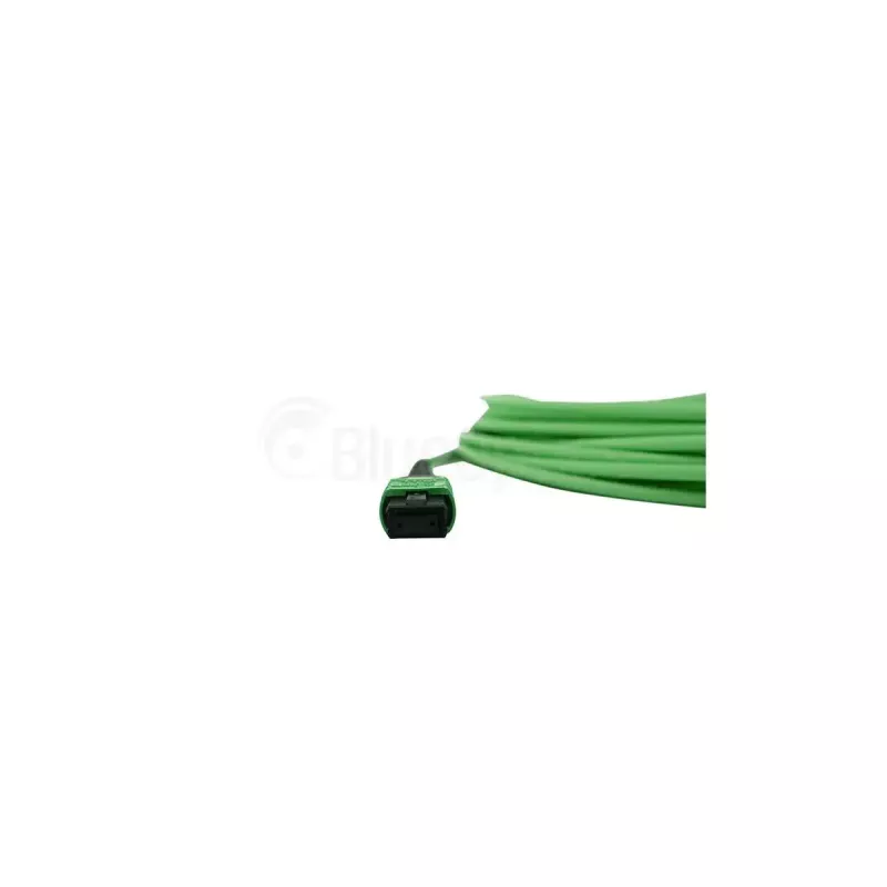 Glasfaserkabel BlueOptics SFP5141GU2MKB MPO 4x LC OM5 2 m Lime