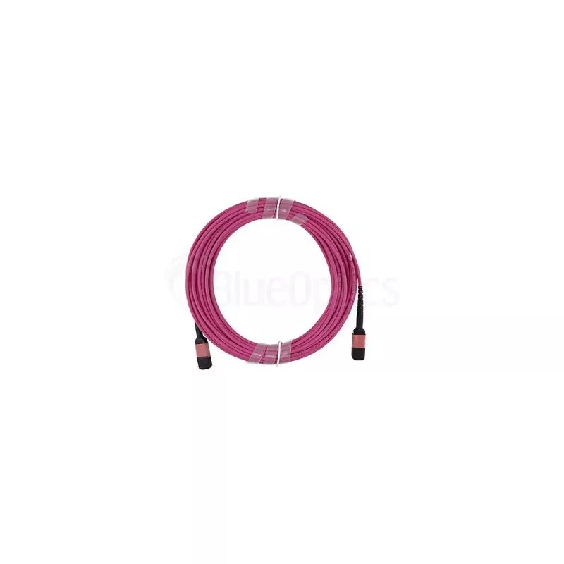 BlueOptics SFP5252FU10MKB InfiniBand-Glasfaserkabel 10 m MPO