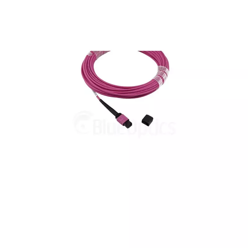Glasfaserkabel BlueOptics SFP5252FU50MKB MPO OM4 50 m Violett