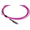 Glasfaserkabel BlueOptics SFP9231FU2MK MDC LC OM4 2 m Magenta