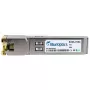 BlueOptics TN-SFP-10G-T-BO Netzwerk-Transceivermodul Kupfer 10000 Mbit/s SFP+