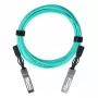 BlueOptics XXVAOCBL30M-BO InfiniBand Glasfaserkabel 30 m SFP28