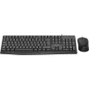InLine Basic Desktop II, Tastatur-Maus-Set, USB-Kabel, Standard DE-Layout