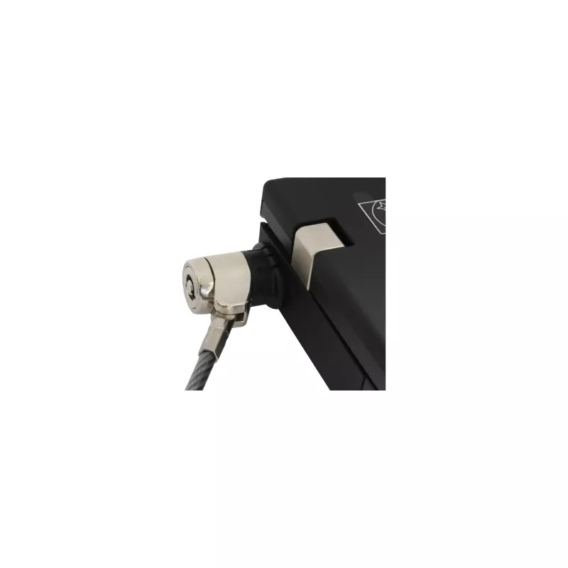 InLine Notebook Security Lock mit Schlüssel 4,4mm x 2m