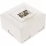 InLine 75602K Wandanschlussdose, Aufputz- oder Unterputzmontage, 2x RJ45 vertikal