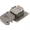 InLine 75602K Wandanschlussdose, Aufputz- oder Unterputzmontage, 2x RJ45 vertikal