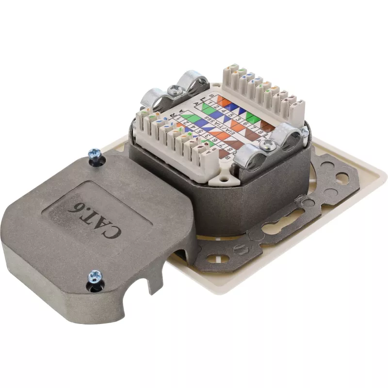 InLine 75602K Wandanschlussdose, Aufputz- oder Unterputzmontage, 2x RJ45 vertikal