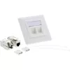 InLine Cat.6A Unterputzdose 2x RJ45 weiß RAL9010