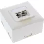 InLine Cat.6A Wandanschlussdose Auf- oder Unterputz 2x RJ45-Buchse 76842S