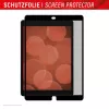 Displex TABLET PRIVACY SAFE abnehmbarer 2-Wege-Blickschutzfilter für iPad 10,2'' (7./8./9. Gen.)