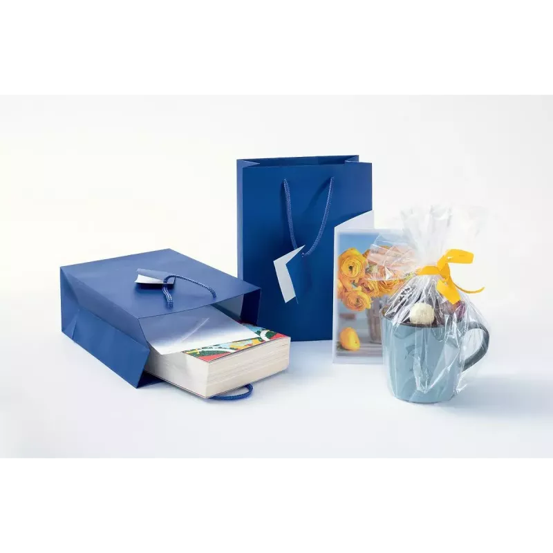 Geschenktüte Sigel GT504 Blau Monochrom 170x90x230 mm
