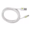 Techly ICOC MUSB20-CMAM20TW USB-Kabel USB 2.0 2 m USB A USB C Weiß