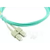 BlueOptics SFP3232EU1MK InfiniBand-Glasfaserkabel 1 m SC Grün