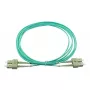 BlueOptics SFP3232EU1MK InfiniBand-Glasfaserkabel 1 m SC Grün