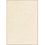 Kunstpapierbögen Sigel DP655 50 Bögen Beige 200 g/m²