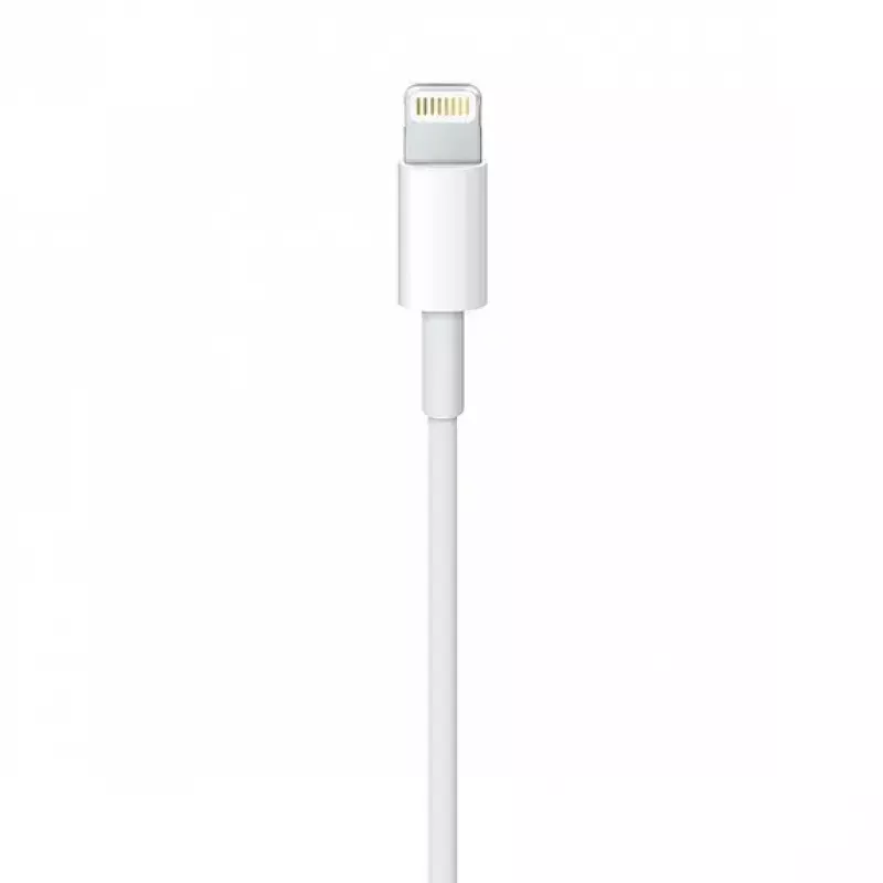 Kabel Apple MQUE2ZM 1m Weiß