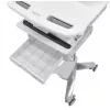 Multimedia-Wagen Ergotron StyleView Aluminium Grau Weiß