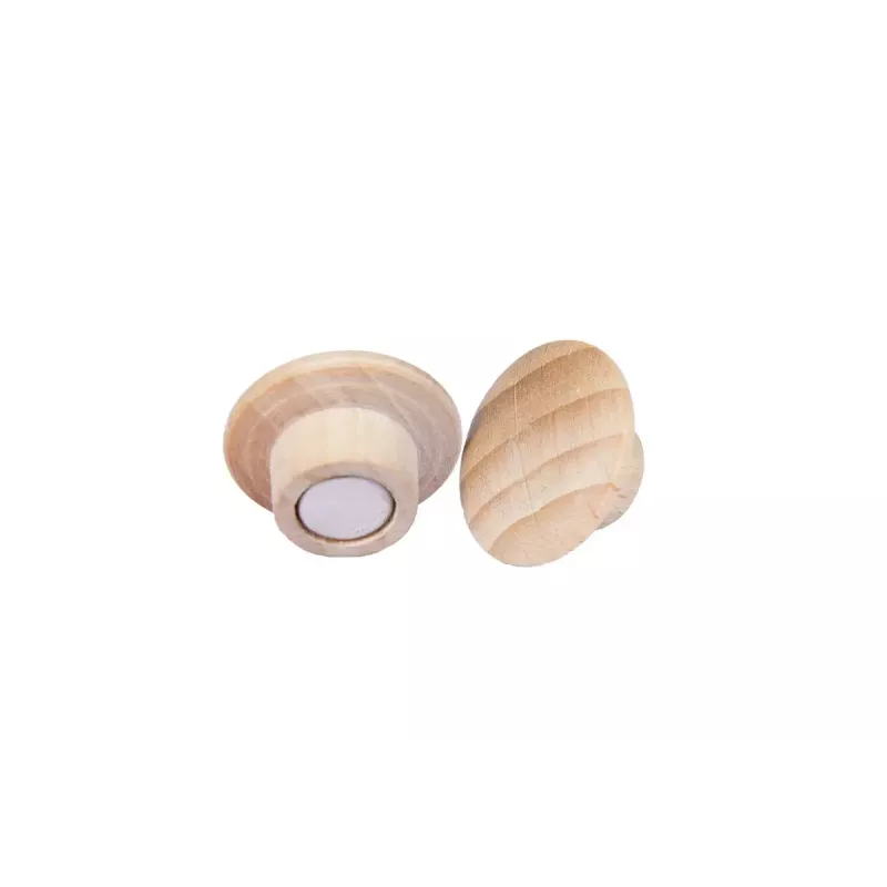 Holzmagnete Legamaster 25mm 5 Stück