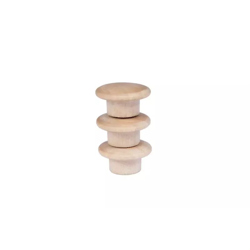 Holzmagnete Legamaster 25mm 5 Stück