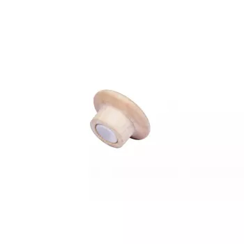 Holzmagnete Legamaster 25mm 5 Stück