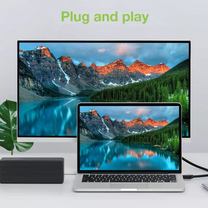 Techly Monitor DisplayPort-zu-DVI-Kabel 2 m ICOC DSP-C-020