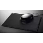 Cintano S Schwarz Sigel
