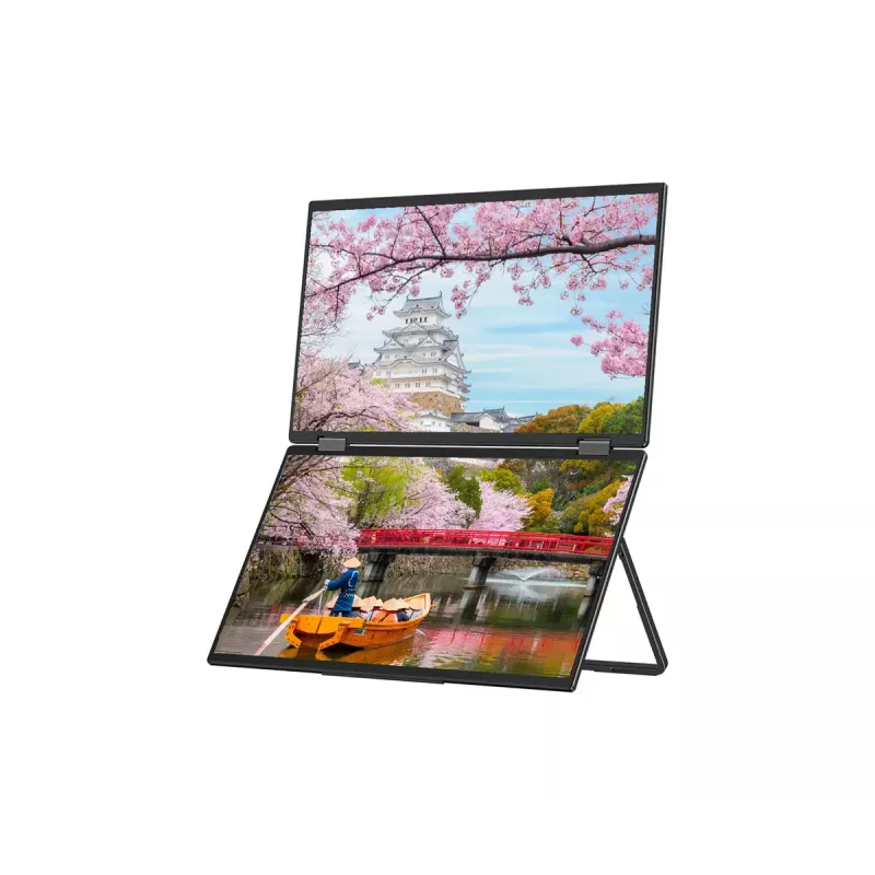 JAPANNEXT JN-DMD-IPS156F Computer-Monitor 39,6 cm (15,6 Zoll) 1920 x 1080 Pixel Full HD LCD Schwarz