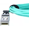 InfiniBand/Glasfaserkabel SFP+ BlueOptics UACC-AOC-SFP10-30M-BO 30 m