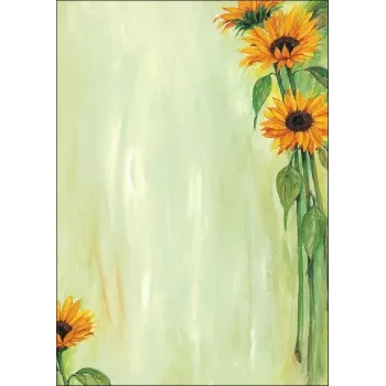 Art Paper Sheets Sigel DP694 25 Blatt