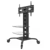 Techly ICA-TR8 Signage-Display-Ständer 177,8 cm (70 Zoll) Schwarz