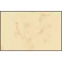 Business Card Sigel DP744 Laser/Inkjet Beige 100 Stk.