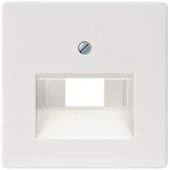 Siemens 5TG2545 Wandplatte/Schalterabdeckung
