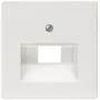 Siemens 5TG2545 Wandplatte/Schalterabdeckung