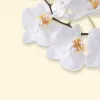 Kunstdruckpapier Sigel DP904 50 Blatt