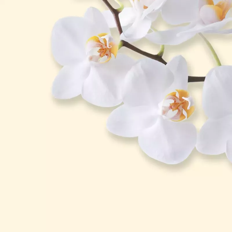Kunstdruckpapier Sigel DP904 50 Blatt