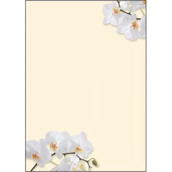 Kunstdruckpapier Sigel DP904 50 Blatt