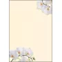 Kunstdruckpapier Sigel DP904 50 Blatt