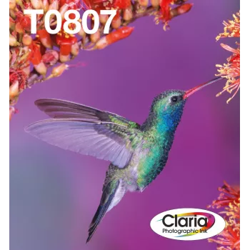 Tintenpatronen-Multipack Epson Hummingbird T0807 — 6 Farben (Schwarz, Cyan, HellCyan, HellMagenta, Magenta, Gelb)