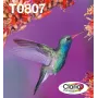 Tintenpatronen-Multipack Epson Hummingbird T0807 — 6 Farben (Schwarz, Cyan, HellCyan, HellMagenta, Magenta, Gelb)