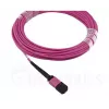 BlueOptics EMC CBL-MPO12-4LC-OM4-2M Glasfaserkabel MPO 4x LC 2m